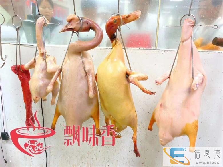 学烧鸭哪里有 南宁飘味香烧鸭培训班 一对一教学