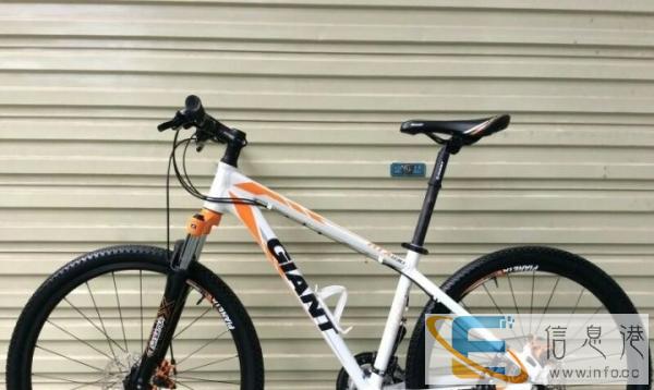 几乎全新的二手捷安特