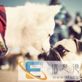 家到家的服务，欢迎致电