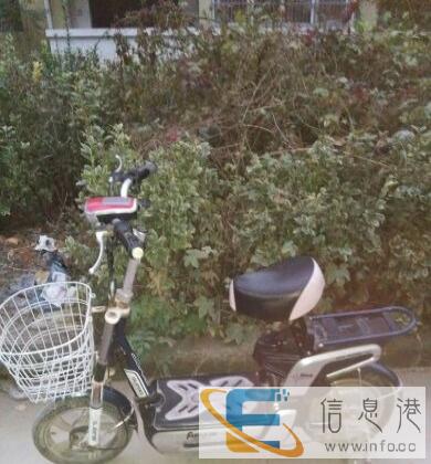 找一百多元可以来换这款车