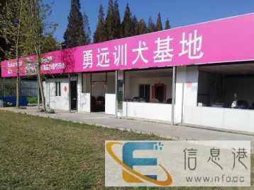 宠物训练寄养，以诚为本，以质为根