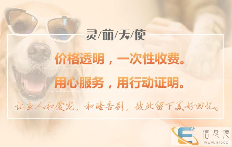 成都哪里有正规的宠物火化公司 宠物火化推荐