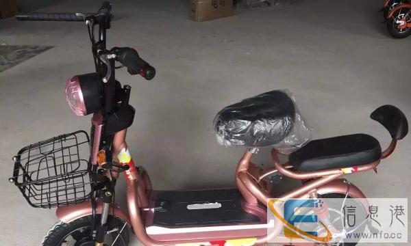 新款电动车 简易款 电动自行车 领酷上市 全国招商
