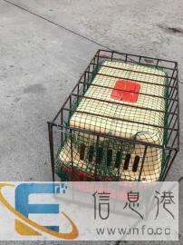 长春晓哥宠物托运