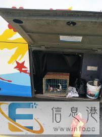 沧州专业宠物托运，托运到全国各地，服务 价格合理