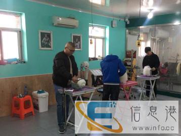 沧州子木宠物美容学校