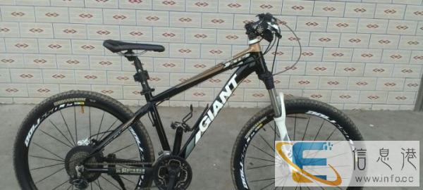 捷安特山地自行车