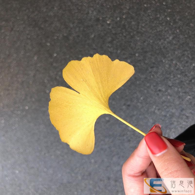 普通话的重要性 普通话的重要性