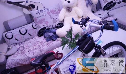 多台自行车出售