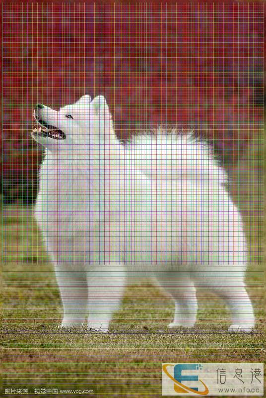 长沙至郴州市内宠物托运上门包接送托运电话多少 长沙至郴州市内宠物托运上门包接送托运电话多少