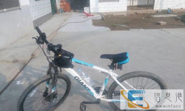 全新捷安特出售