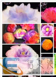 宠物美容开店零基础学校