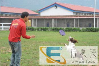 鞍山赵祺宠物训练济阳学校幼犬，才艺和服从训练