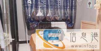 喵小姐与汪先生 专业宠物寄养，环境好，空间大