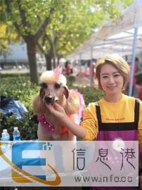 宠物美容师人才培训机构，价格实惠，包就业推荐