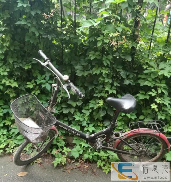 转让折叠自行车