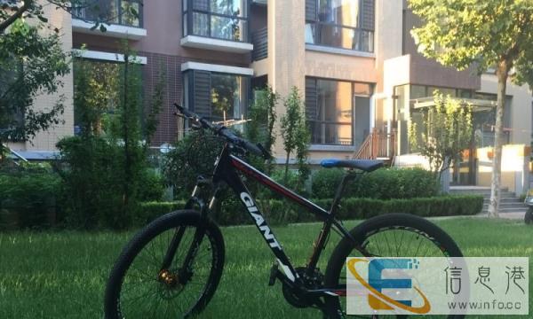 自己骑的捷安特山地车 售价650元