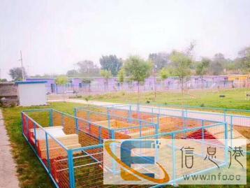 恩宠天地宠物训练、寄养、乐园游泳、训犬师、美容师培