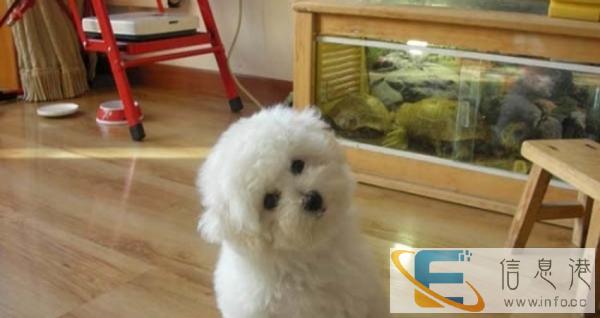 康泰动物门诊为您提供优质诊疗服务