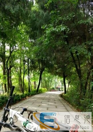 骓驰山地车,27速 换车甩卖