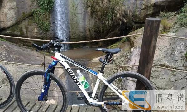 出售捷安特870山地车