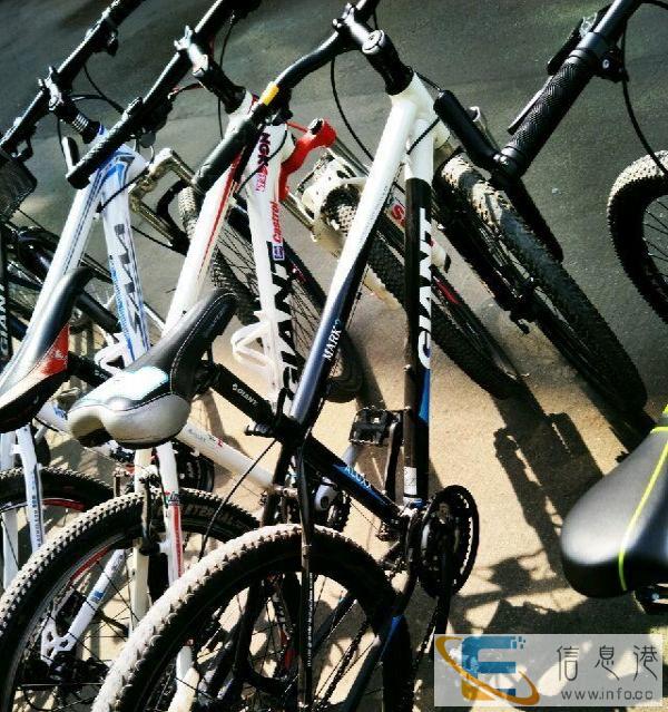 捷安特自行车处理