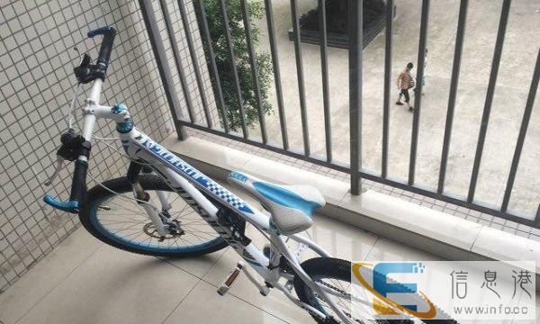 只骑过一次的自行车转让