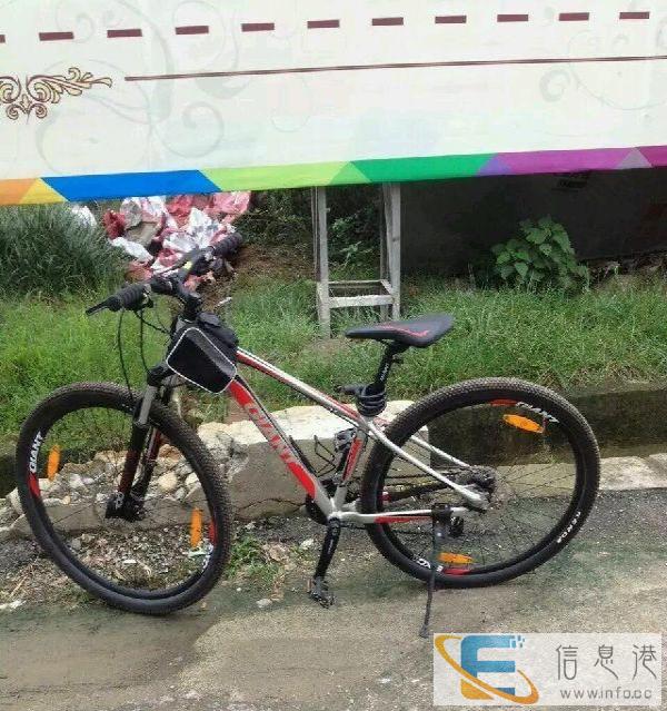 捷安特自行车，台湾进口，前后油刹