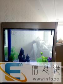 坤享水族龙鱼，鱼缸清理维护清洗调理水质专业实体欢迎光临