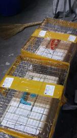 济南老张宠物托运