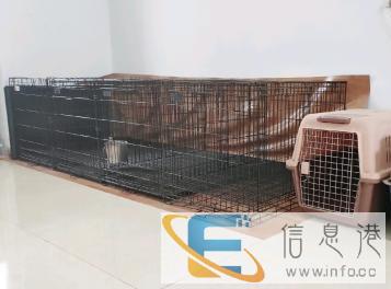 拾柒犬舍长期接收宠物寄养