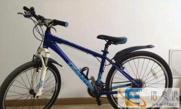 捷安特山地自行车