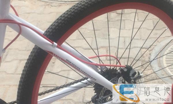 心血来潮买的山地变速自行车便宜转卖
