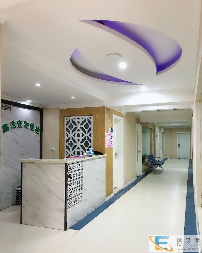 达州宠物医院怎么训练狗狗不捡吃的