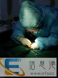 萌之语7月1日至9月30日预约绝育送营养礼包