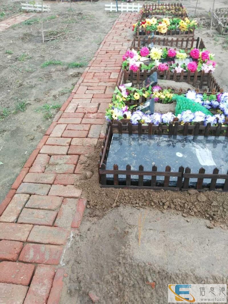 哪有靠谱的宠物火化场