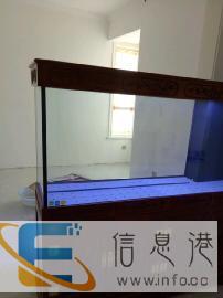 专业上门清洗鱼缸，维修检测改造