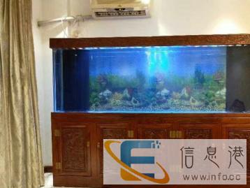 专业清洗鱼缸，系统改造，维修检测安装调试