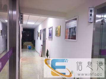 大同宠物美容师咨询