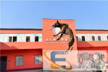 职业训犬师专业培训，零基础包就业拿证