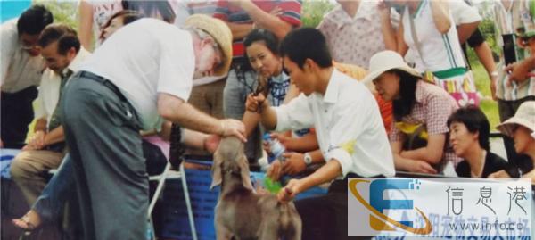 沈阳训犬训狗基地金牌宠物训练学校10保证连锁经营