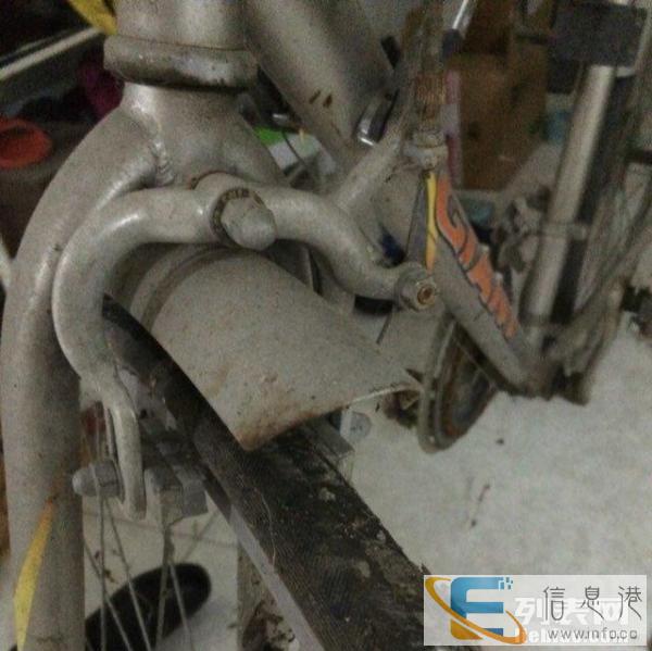 捷安特自行车，300元