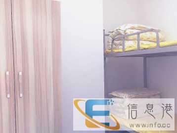 哈道盟高端宠物寄养服务-美容师培训