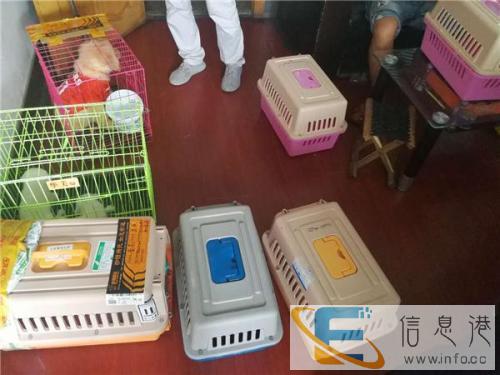 内蒙古鄂尔多斯宠物托运上门服务全国连锁