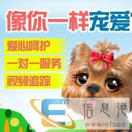 鄂尔多斯全地区可服务，欢迎来电