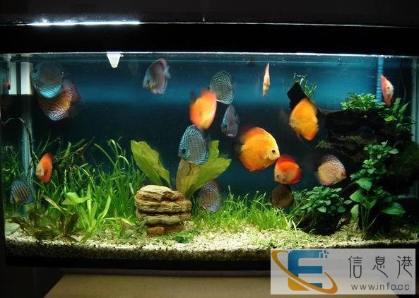 水族售后服务中心