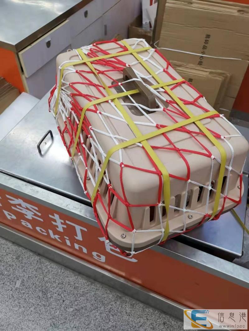 福州安捷宠物托运