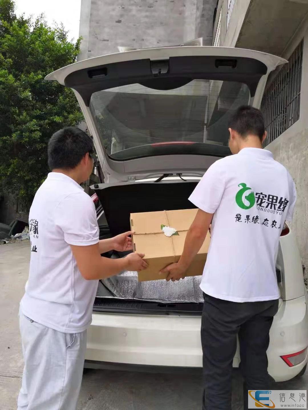 宠果缘宠物善后