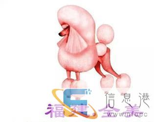 福州全美宠物美容师培训学校C级班招生