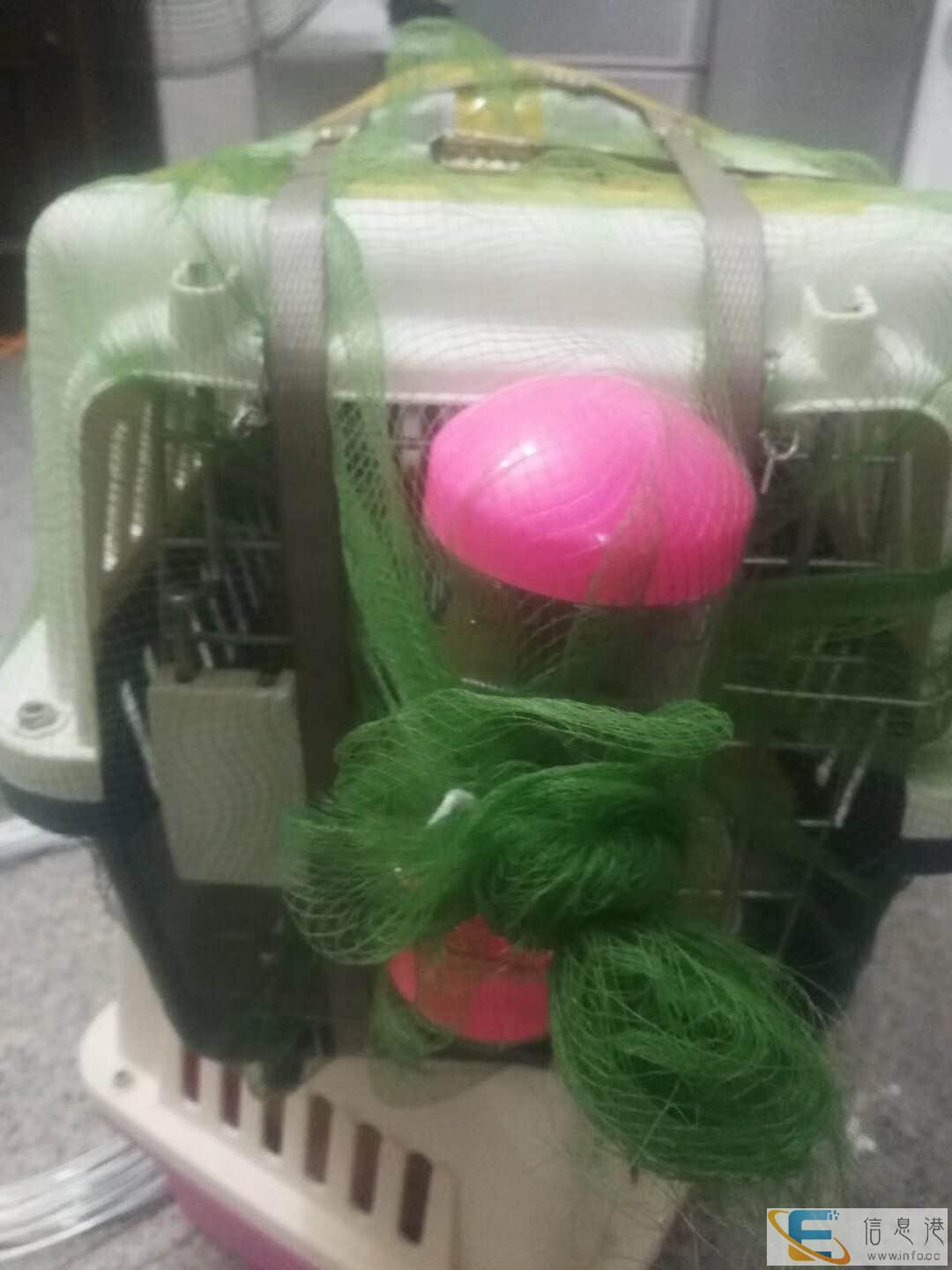 佛山宠物检疫证办理上门服务